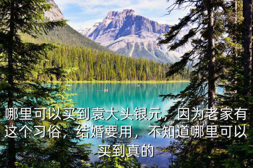 鄭州去哪里賣銀元,上哪里去賣才不會虧