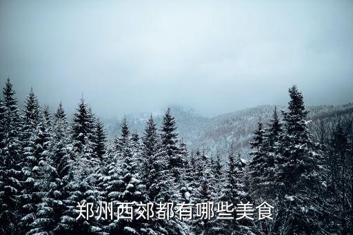 鄭州西郊都有哪些美食