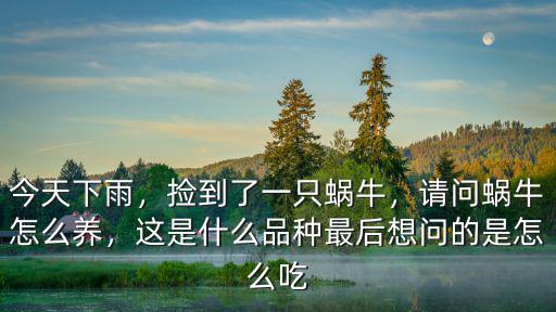 今天下雨，撿到了一只蝸牛，請問蝸牛怎么養，這是什么品種最后想問的是怎么吃