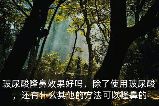 玻尿酸隆鼻效果好嗎，除了使用玻尿酸，還有什么其他的方法可以隆鼻的