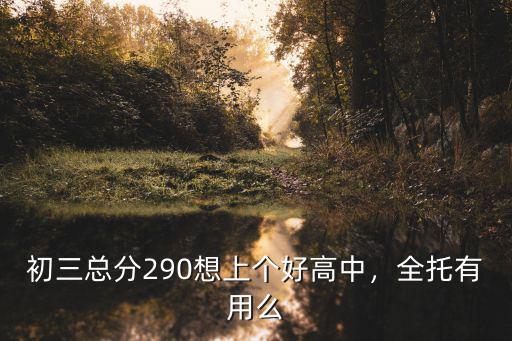 初三總分290想上個好高中，全托有用么