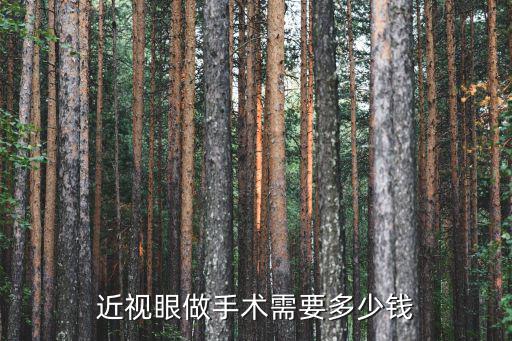 近視眼做手術需要多少錢