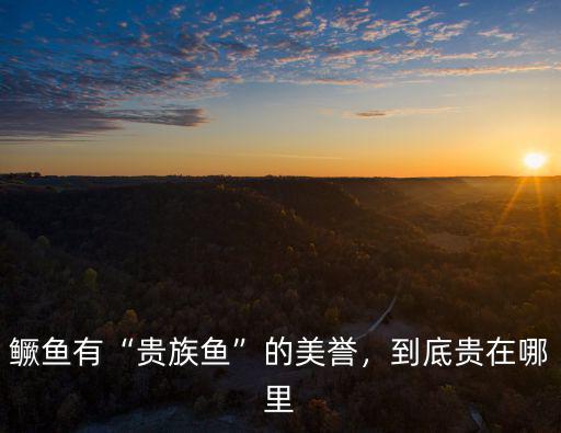 開封哪里有鱖魚,鱖魚有貴族魚的美譽(yù)