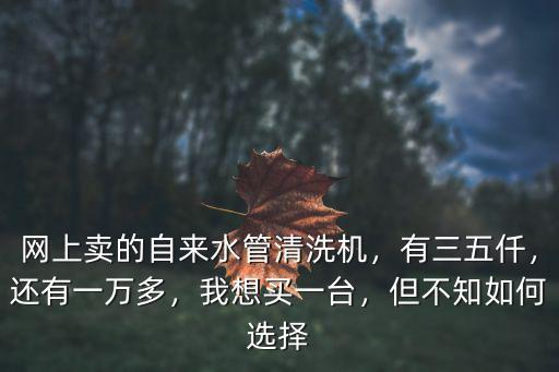 網上賣的自來水管清洗機，有三五仟，還有一萬多，我想買一臺，但不知如何選擇