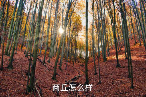 商丘怎么樣