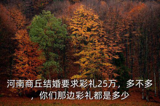 河南商丘結婚要求彩禮25萬，多不多，你們那邊彩禮都是多少