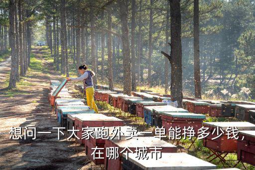 駐馬店市跑美團(tuán)外賣工資多少錢,打算去美團(tuán)跑外賣