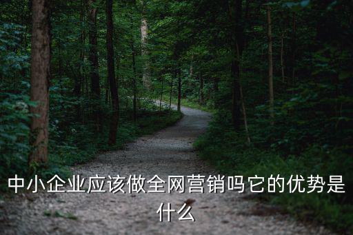 中小企業應該做全網營銷嗎它的優勢是什么
