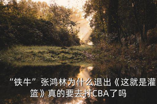 “鐵牛”張鴻林為什么退出《這就是灌籃》真的要去打CBA了嗎