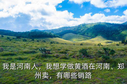 河南鼎漢科技銷售怎么做,玻璃銷售怎么做