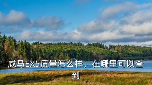威馬EX5質(zhì)量怎么樣，在哪里可以查到
