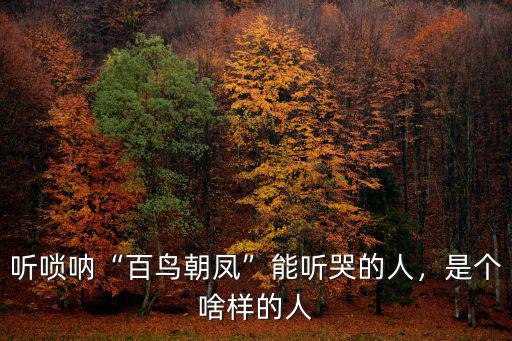 河南四姐妹嗩吶哪里人,河南的嗩吶班有哪些行話(huà)