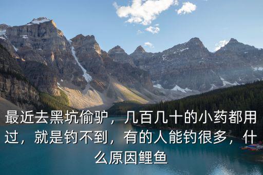 焦作地區最近黑坑釣魚去哪里,最近去黑坑偷驢