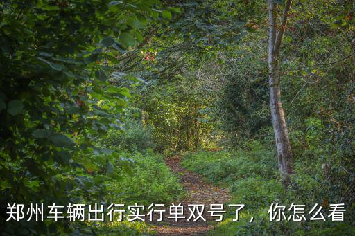 鄭州車輛出行實(shí)行單雙號(hào)了，你怎么看