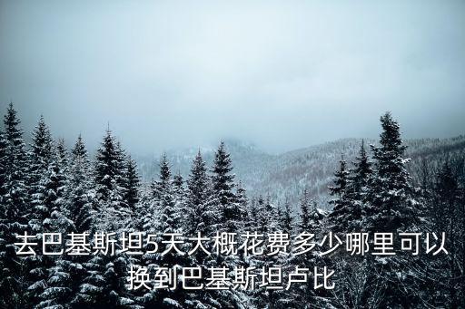 鄭州哪里有巴基斯坦餐廳,哪里可以換到巴基斯坦盧比