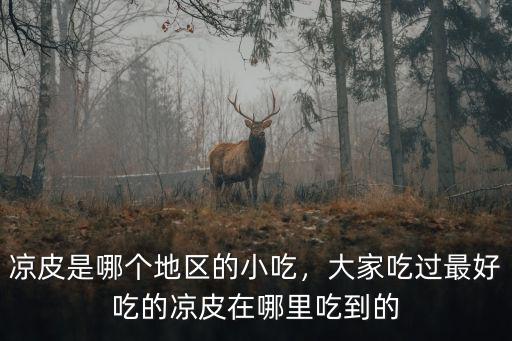 洛陽哪里涼皮好吃,洛陽有哪些好吃的餅