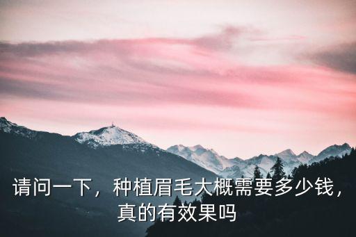 請問一下，種植眉毛大概需要多少錢，真的有效果嗎