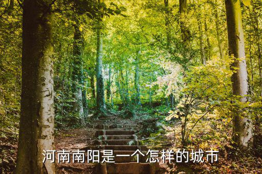 河南南陽是一個怎樣的城市