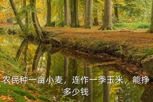 農民種一畝小麥，連作一季玉米，能掙多少錢