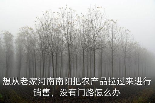 南陽味道老家怎么樣,你覺得南陽怎么樣