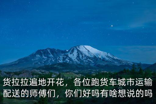 貨拉拉遍地開花，各位跑貨車城市運輸配送的師傅們，你們好嗎有啥想說的嗎