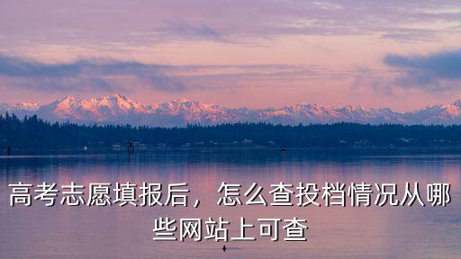 河南專升本投檔狀態怎么查,怎么查投檔情況