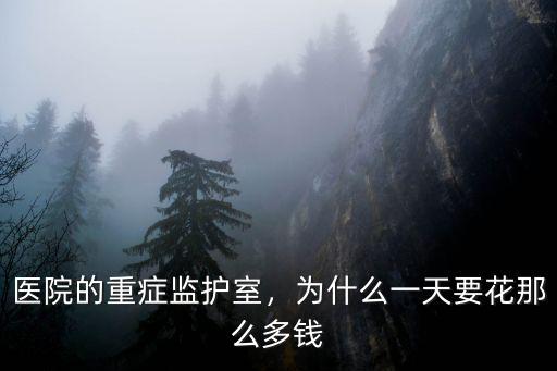 三門峽醫(yī)院重癥監(jiān)護(hù)室一天多少錢,醫(yī)院的重癥監(jiān)護(hù)室