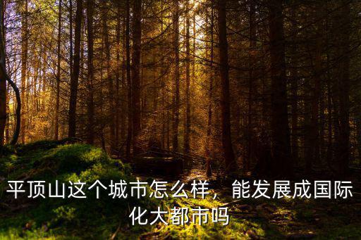 平頂山這個城市怎么樣，能發展成國際化大都市嗎