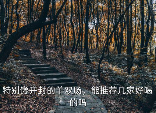 特別饞開封的羊雙腸，能推薦幾家好喝的嗎