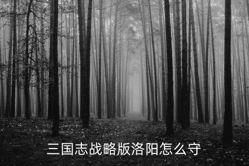三國志戰(zhàn)略版洛陽怎么守