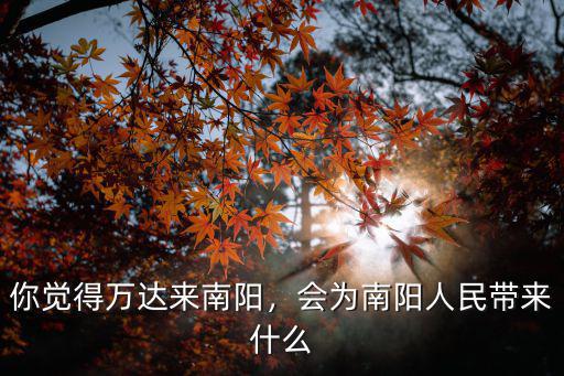 你覺得萬達來南陽，會為南陽人民帶來什么