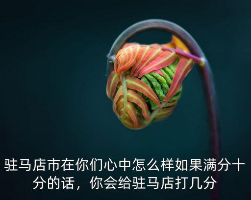 駐馬店市在你們心中怎么樣如果滿分十分的話，你會給駐馬店打幾分