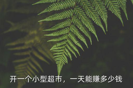 開(kāi)一個(gè)小型超市，一天能賺多少錢(qián)