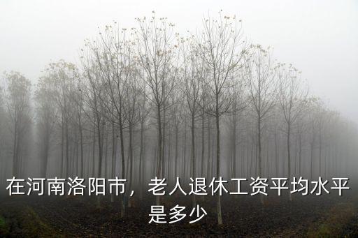 在河南洛陽市，老人退休工資平均水平是多少