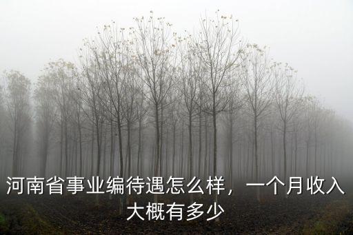 河南羚銳北京待遇怎么樣,河南公務員工資待遇怎么樣