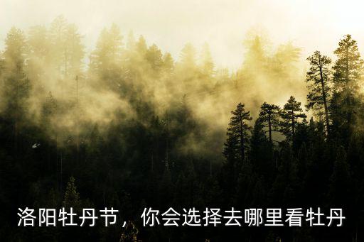 洛陽牡丹節(jié)，你會(huì)選擇去哪里看牡丹