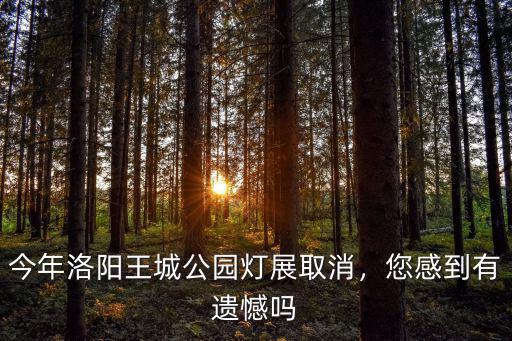 今年洛陽王城公園燈展取消，您感到有遺憾嗎
