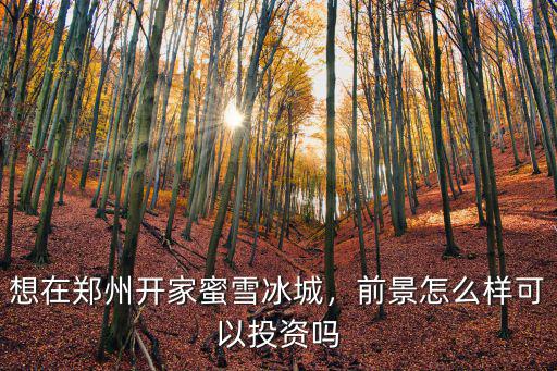想在鄭州開家蜜雪冰城，前景怎么樣可以投資嗎