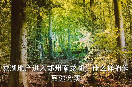 鄭州高新區(qū)龍湖地產(chǎn)賣的怎么樣,龍湖地產(chǎn)進入鄭州南龍湖