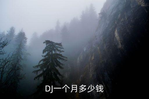 DJ一個月多少錢