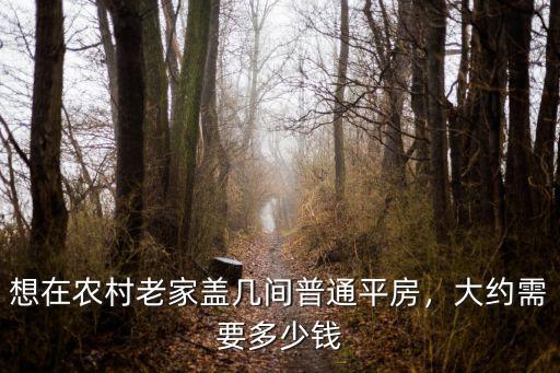 許昌農村蓋民房要花多少錢,大約需要多少錢