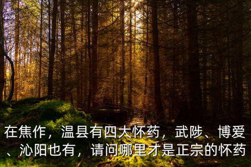 在焦作，溫縣有四大懷藥，武陟、博愛、沁陽也有，請問哪里才是正宗的懷藥