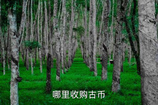 南陽市哪里收古錢,哪里收購古幣