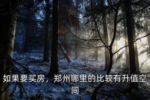 如果要買房，鄭州哪里的比較有升值空間