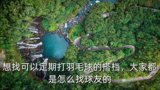 想找可以定期打羽毛球的搭檔，大家都是怎么找球友的