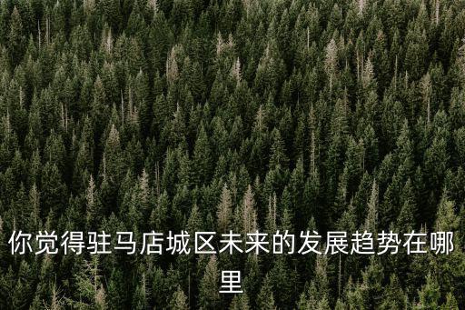 你覺(jué)得駐馬店城區(qū)未來(lái)的發(fā)展趨勢(shì)在哪里