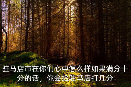 駐馬店市在你們心中怎么樣如果滿分十分的話，你會給駐馬店打幾分