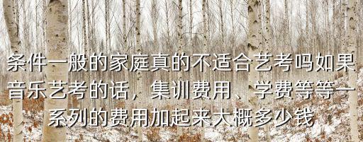 條件一般的家庭真的不適合藝考嗎如果音樂藝考的話，集訓(xùn)費(fèi)用、學(xué)費(fèi)等等一系列的費(fèi)用加起來(lái)大概多少錢