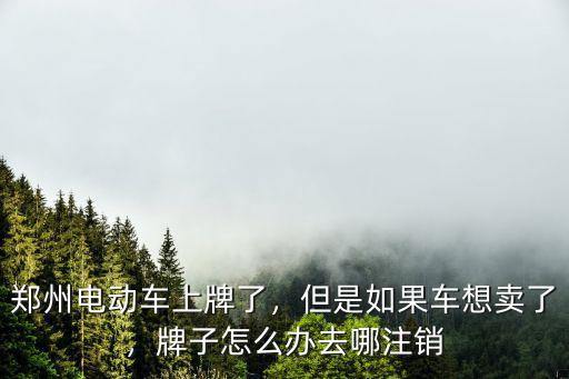 鄭州市電動車過了元旦上牌會怎么樣,鄭州電動車上牌了