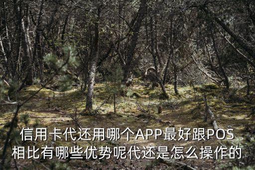 漯河哪里有代還信用卡的,信用卡代還用哪個APP最好